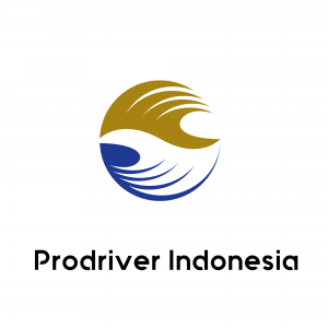 New Logo Prodriver